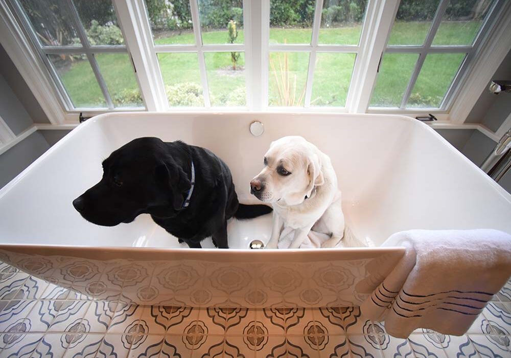 2 DOGS IN TUB.JSB_0674